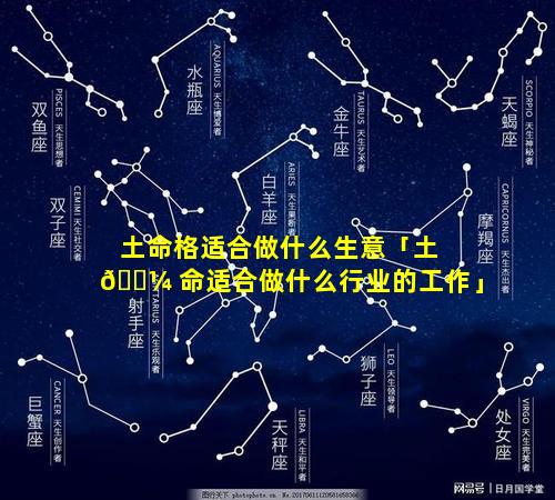 土命格适合做什么生意「土 🌼 命适合做什么行业的工作」